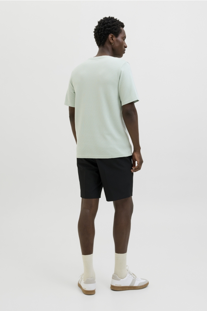 JPRBLAFRANCO SS TEE CREW NECK LN 12175825 AQUA GRAY